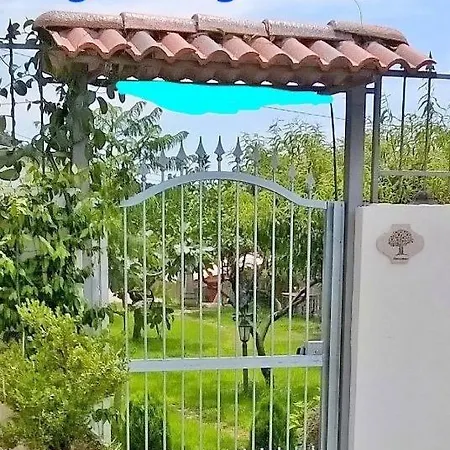 Nonnotano Bed & Breakfast