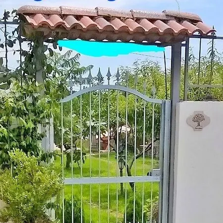 Nonnotano Panzió