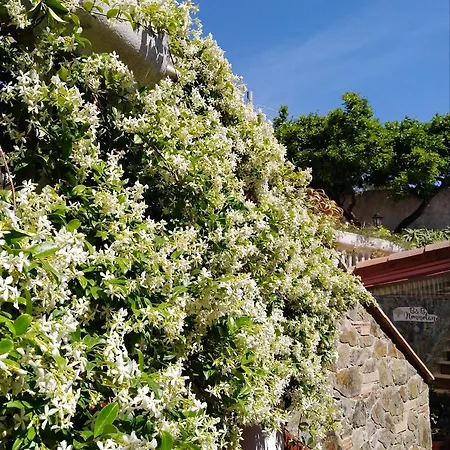 Nonnotano Bed & Breakfast *